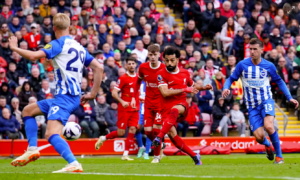 Liverpool vs Brighton
