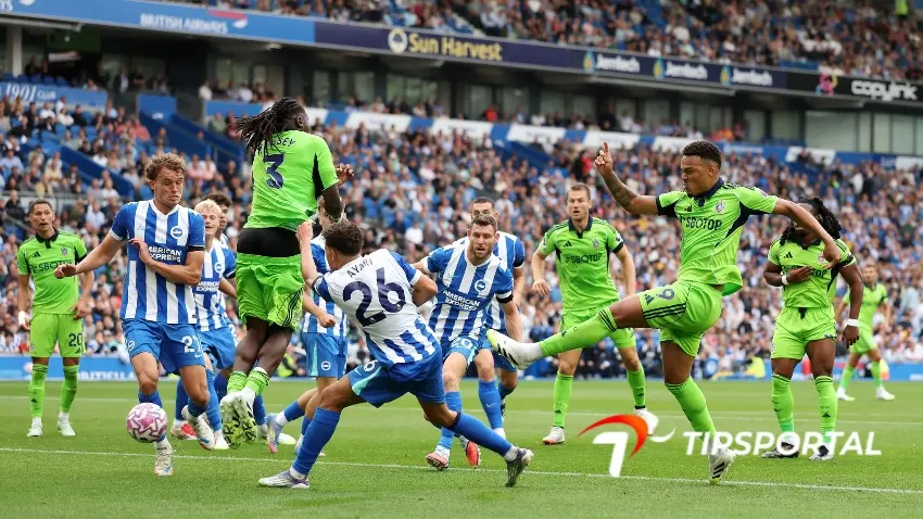 Brighton & Hove Albion and Fulham Settle for Honors in Pulsating Clash