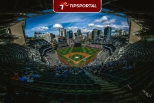 MLB Stadium