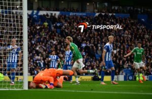 Brighton & Hove Albion vs Newcastle United
