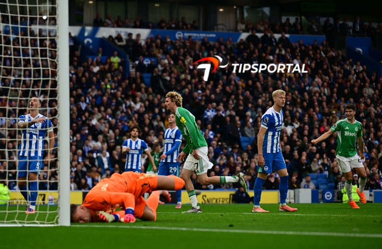 Brighton & Hove Albion win 2-1 at home against Newcastle United