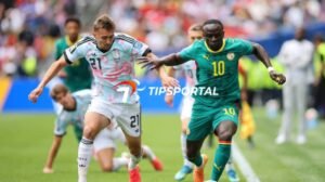 Belgium vs Senegal